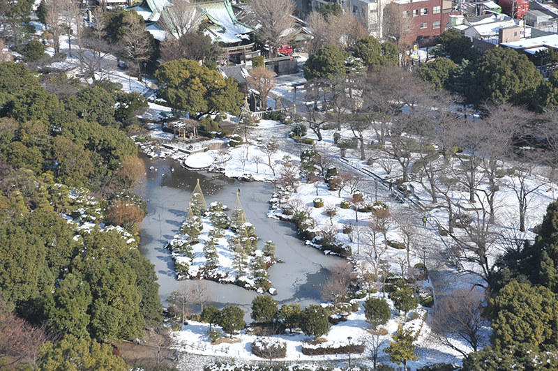 雪の隅田公園